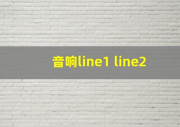 音响line1 line2